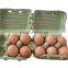 Best quality egg carton making machine