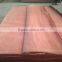 gurjan face veneer /keuring veneer/red wood veneer