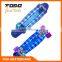 2016 New Plastic Fish Skateboard