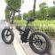 Folding electric bike fat tire electric bike 500W electric bike