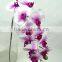 Aritificial Real Touch 12 Flowers Mini Butterfly Orchid