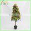 factory sale cheap small orange fruit TREE