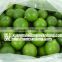 SEEDLESS LEMON/ LIME with BEST PRICE