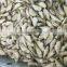 filefish good packing frozen leather jacket fillet fish