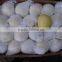 Chinese Golden Pear 9kg 18kg Carton