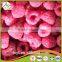 Golden Supplier of Top Quality Frozen Raspberry From China Processor