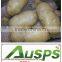 High Quality Fresh Holland Potatoes