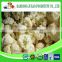 Common Cultivation frozen style Chinese frozen cauliflower