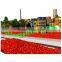 50g tomato paste in sachet for US market