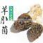 Frozen Processing Type Morels