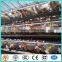 3 tier 120 capacity chicken layer cage for poultry in dubai