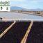 Competitive nori price,seaweed nori/laver,professional Manufacturer