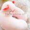 wholesale cassia seed custom travel pillow