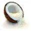 Coconut & Coconut Products