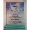 Jade cheap glass trophy for promotional gifts
