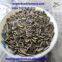 Sunflower Seeds 5009 (24/64)