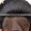 Brazilian Human Hair Pre Plucked Lace Wig With Baby Hair And Hairline