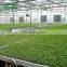 Nursery Equipment Planting Table Greenhouse For Agricultural