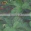 120gsm 135gsm 40 mesh 50 mesh anti insect netting in malaysia