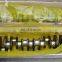 for Cummins 6CT Crankshaft 3910327 3905625 3917320 3918986 3910968 3914584