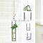 Glass Planter Water metal Iron Art Hydroponic Vase Transparent Test Tube shelf