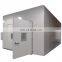 Liyi Humedad constante del termostato Cold Room Chamber Walk in Freezer