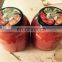Vietnam Canned Tomato in Tomato sauce