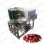 industrial olive pitter machine from Elva