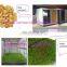 Hot Sale Fodder Sprouting Machines Hydroponic Fodder System Hydroponic Seeds Sprouting Equipment For Feed Processing Machines