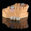 Denture false teeth CAD/CAM Design dental laboratory dental restorations dental Implant Restorations