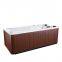 OEM Garden Mini Spa Swimming Pool Balboa Acrylic Two Person Hot Tub