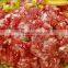 Minced beef mixing machine / Minced meat mixing machine / Meat mixer