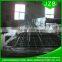 Galvanized 6x6 reinforcing welded wire mesh/6x6 concrete reinforcing mesh                        
                                                Quality Choice