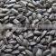 Sunflower Seeds