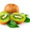 New crop Fresh Golden Kiwi fruit Price, red Kiwi exporter from china
