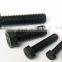 China Supplier high strength hexagon head 8.8 grade bolt