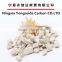 Zeolite filter media for boilter water softening