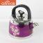 Customised any color like white/purple new design color painting 4L/5L kettle with flower applique
