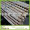 Natural Wooden Mop Handle