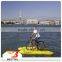 Hot sell Most popular water bike pedal boat for sale