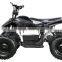 TDPRO-EA2 electric mini bike for sale