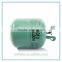 factory price disposable helium tank with completed certification for export