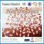015 New Pattern Wholesale 100%Polyester Microfiber Coral Fleece Travel Blanket