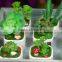 Home Garden Decoration Artificial Succulent Pots Wholesale Bonsai Pot