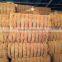 Coconut Fiber 2016 in Vietnam (qq : 2598494113)