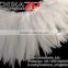 ZPDECOR Wholesale Cheap in Stock Samba Costumes Material NATURAL WHITE Schlappen Strung Rooster Feathers