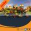 Biggest manufacturer of Children Outdoor and indoor playground
