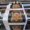 YT Series High Precision Best Sale 4 Color Flexographic Printing Machine