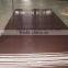 Linyi 3mm film faced Plywood factory