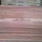 EUCALYPTUS Butt/ Finger Joint Laminated Board/ Panel/ Worktop/ Countertop